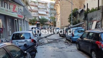 Πέφτουν δέντρα λόγω των θυελλωδών ανέμων στη Θεσσαλονίκη, ζημιές σε αυτοκίνητα