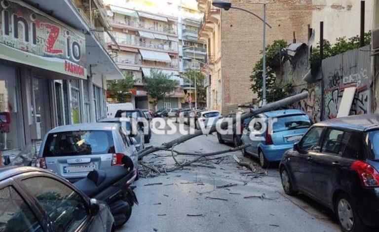 Πέφτουν δέντρα λόγω των θυελλωδών ανέμων στη Θεσσαλονίκη, ζημιές σε αυτοκίνητα