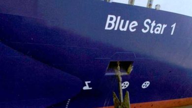 Το Blue Star 1 προσέκρουσε στο λιμάνι της Νάξου