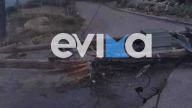 Διακοπή ρεύματος σε Μαντούδι και Αγία Άννα στην Εύβοια επειδή έπεσε πεύκο και έριξε κολώνα της ΔΕΗ