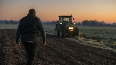 Νέοι αγρότες: Έρχεται επιδότηση έως 42.500 ευρώ για όσους είναι έως 40 ετών