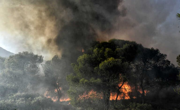 Φωτιά στο Ρέθυμνο σε δασική έκταση