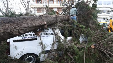 Θεσσαλονίκη: Κλειστά αύριο δύο σχολεία στην Πυλαία, λόγω πτώσης δέντρων