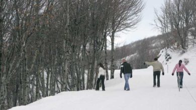 Πήλιο: Ανοίγει το χιονοδρομικό κέντρο στις Αγριόλευκες μετά και την τελευταία χιονόπτωση