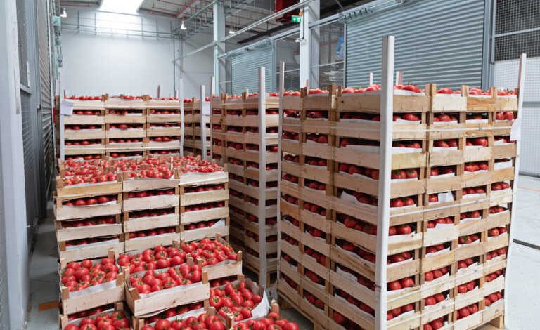 Χρονιά – ρεκόρ για τις εξαγωγές φρούτων και λαχανικών το 2023