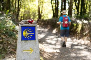 Camino de Santiago 1 1536x1024 1