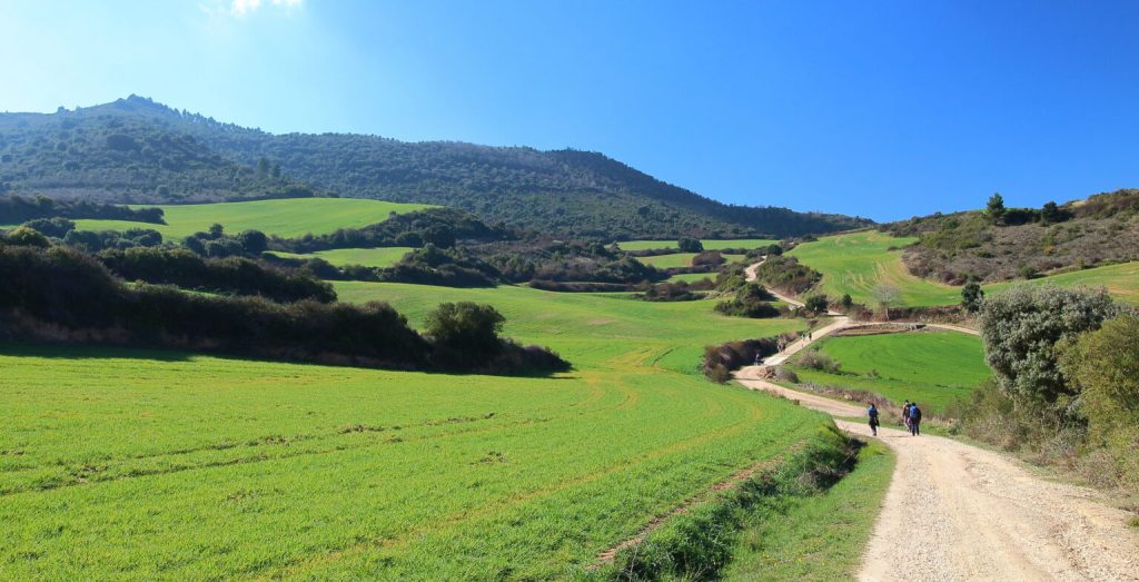 Camino de Santiago 2 1536x784 1