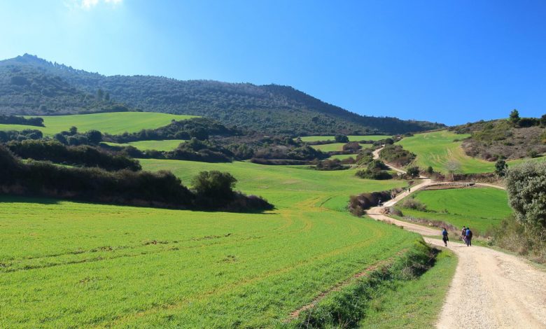 Camino de Santiago 2 1536x784 1
