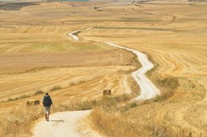 Camino de Santiago 3 1536x1020 1