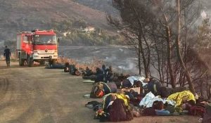 «Πύρινη Αποκάλυψη: Η Ελλάδα σε Φλόγες – Απόγνωση, Ήρωες και Ανάγκη για Αφύπνιση» 515442321 122191380116304641 3014500455608237416 n