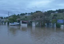 syndeseis 2025 12 05 04 59 46 frame 222159 768x432 1 1