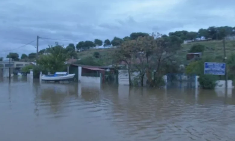 syndeseis 2025 12 05 04 59 46 frame 222159 768x432 1 1