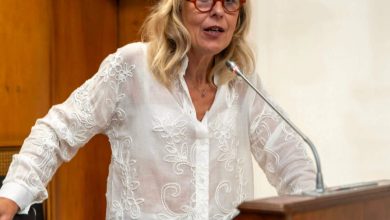 Η απόφαση–«βόμβα» του ΣτΕ 2196/2025 μέσα από τη ματιά της Μαρίας Δημητριάδη, πρώην προέδρου του ΣΠΑΤΕ 310cda7c 33a4 4f40 ab20 0b87539a6d21