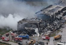 violanta 4 1024x577 1