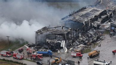 violanta 4 1024x577 1