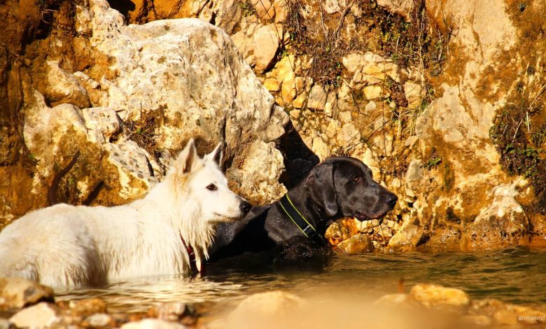 imgAdrianos e1772446867309