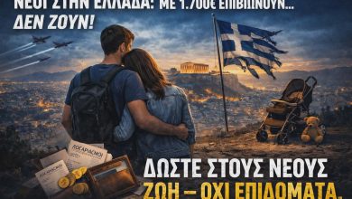 38846dc2 cbe0 4241 976d 5b45a9d91b41