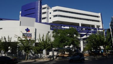 ea72a2dd1e478eaeba2d3077081354bb XL