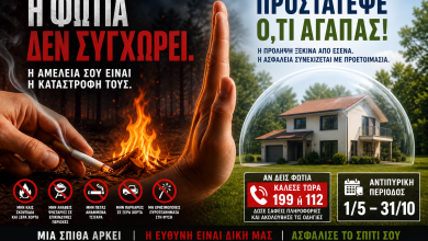 fotia kai asfalia