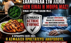 b9bd325a 3b99 4965 b0ce 53119cfe009b 780x470 1