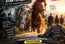 ΤΑ ΓΕΡΙΚΑ ΑΛΟΓΑ ΤΑ ΣΚΟΤΩΝΟΥΝ; GERIKA ALOGA